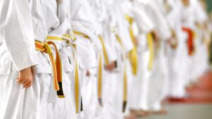 karate kyokushinkai Roma